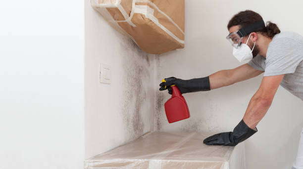 Professional Bathroom Mold Removal technician working in Smithfield, NC