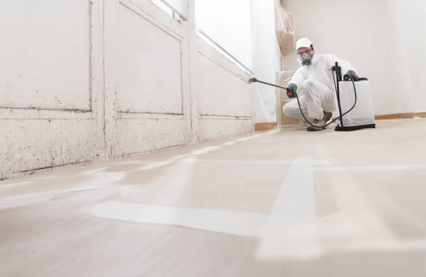 24/7 Emergency Bathroom Mold Removal experts in Smithfield, NC
